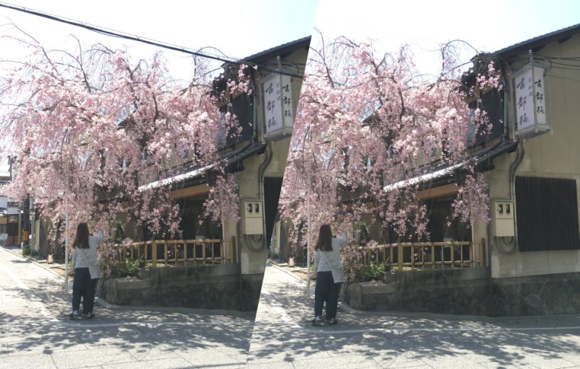 桜の木に被る電線を除去する前後の画像