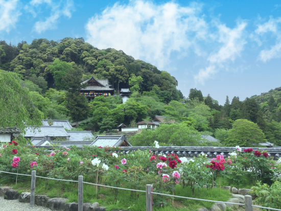 曇天を青空に置き換えた後の画像