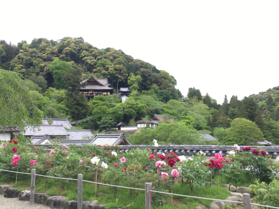 曇天を青空に置き換える前の画像